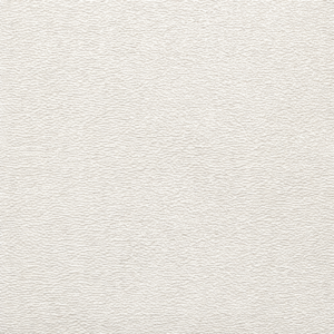 Ceiling Wallboard Rhone White P1978 2440mm x 1220mm x 3mm